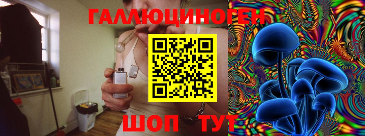 Галлюциногенные грибы Psilocybe  Вход с VPN  Сальск  Псилоцибиновые грибы GOLDEN TEACHER 
